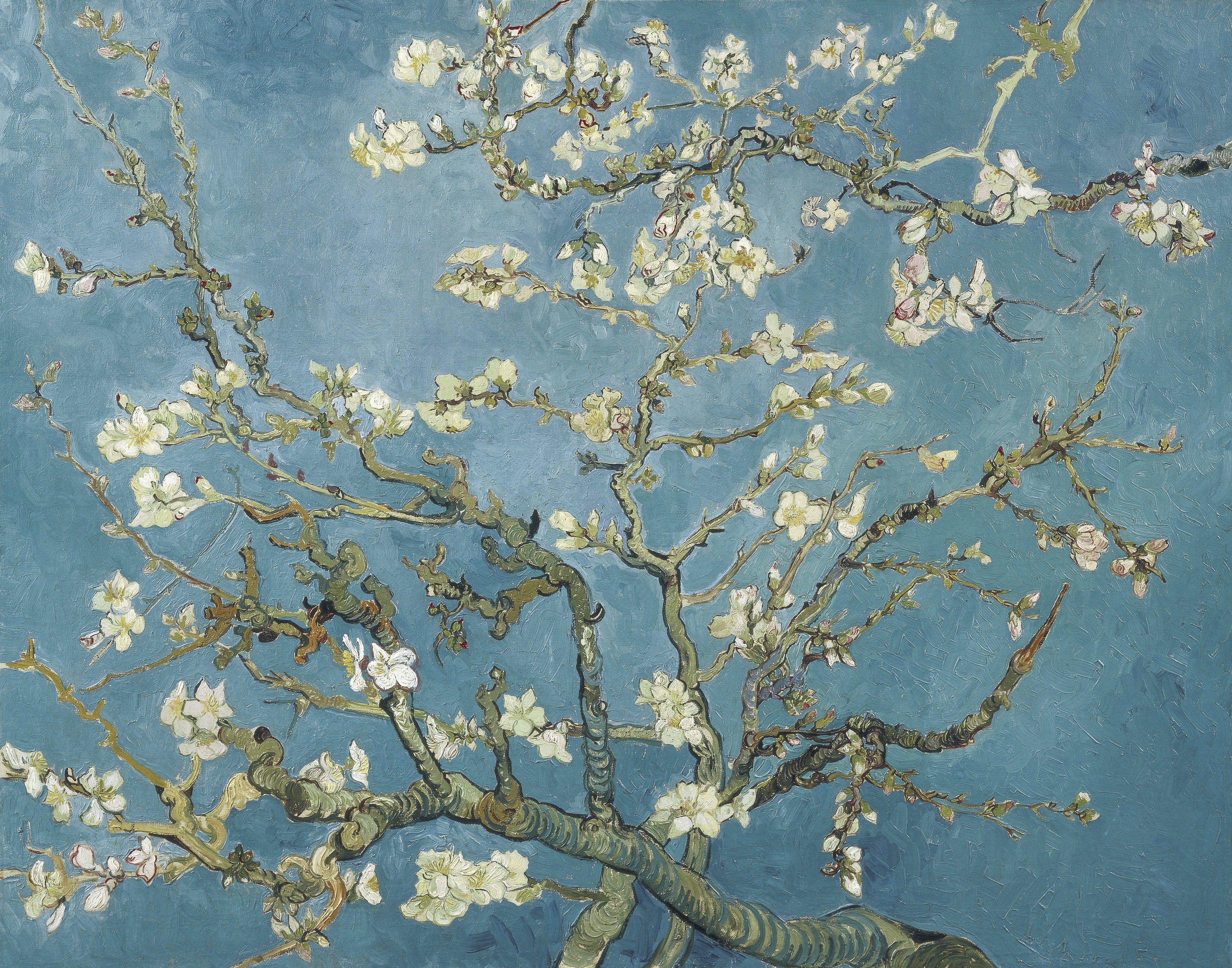 VINCENT VAN GOGH Almond Blossoms FINE ART PRINT Archival Paper Wall Decor