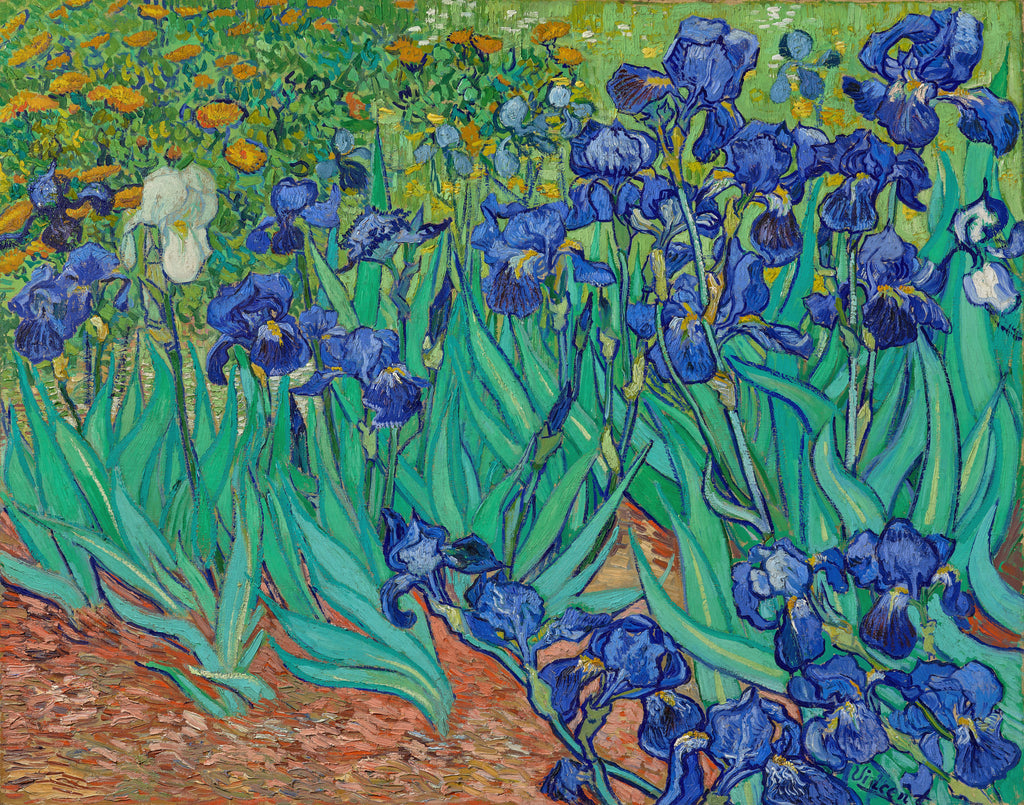 VINCENT VAN GOGH Irises FINE ART PRINT Archival Paper Wall Decor