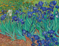 VINCENT VAN GOGH Irises FINE ART PRINT Archival Paper Wall Decor
