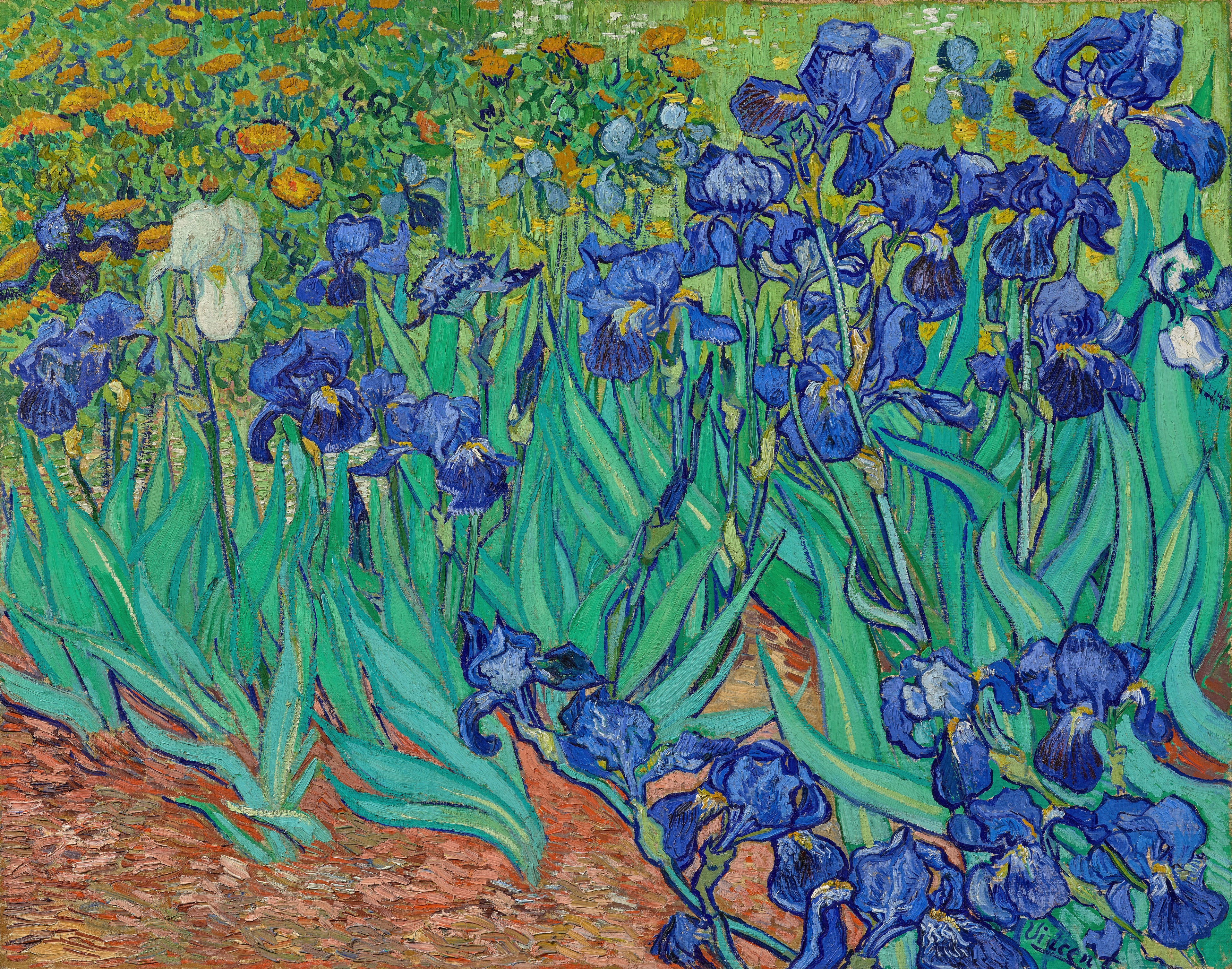 VINCENT VAN GOGH Irises FINE ART PRINT Archival Paper Wall Decor